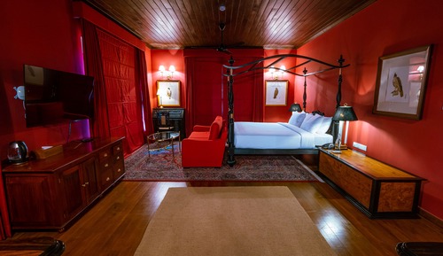 Luxury Suite