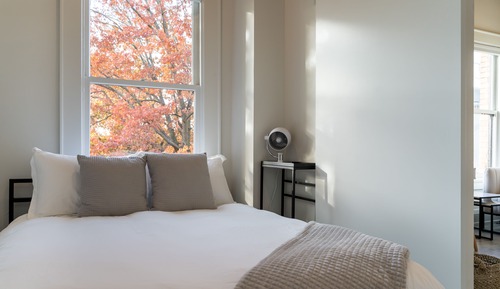 Luxury Apartment
