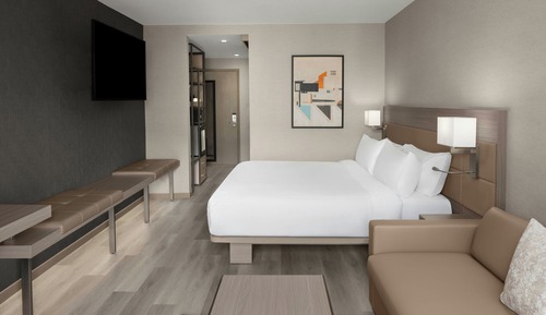 Room, 1 King Bed with Sofa bed (Mobility/Hearing Accessible, Tub)