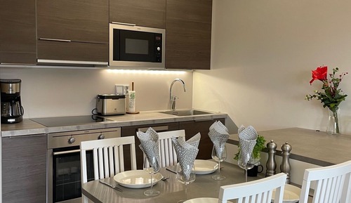 Luxury Apartment