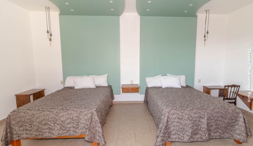 Basic Double Room