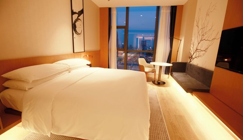 Business Room, 1 King Bed, City View