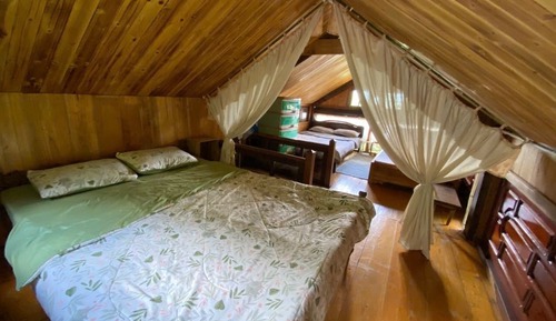 Classic Duplex