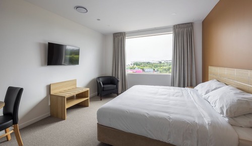 Deluxe Room, 1 King Bed