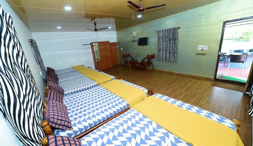 Economy Shared Dormitory