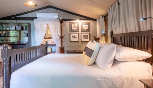 Suite Tent