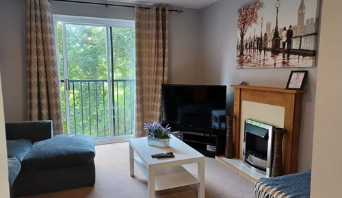 Basic Apartment