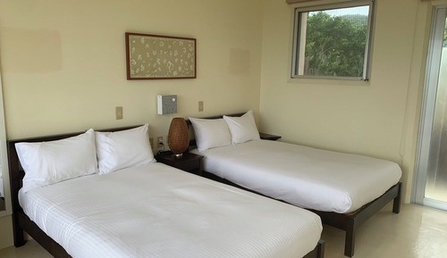 Superior Double or Twin Room