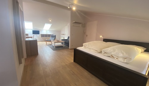 Family Apartment, Private Bathroom, City View