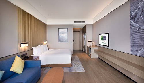 Premium Room, 1 King Bed, Mountain View