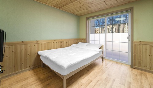 Basic Room, 1 Bedroom (kandlebaram)