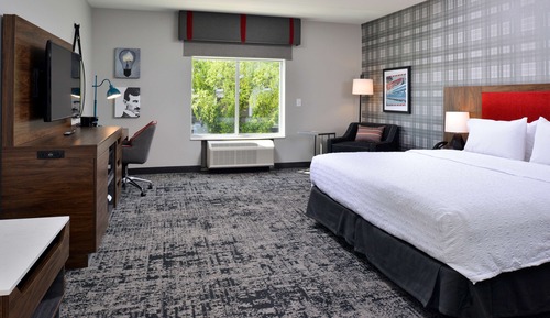 Room, 1 King Bed, Accessible (Mobility & Hearing, Roll-in Shower)