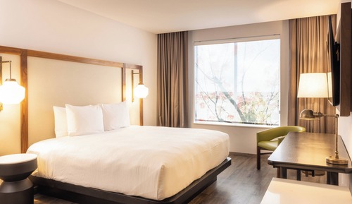 Room, 1 King Bed, Non Smoking