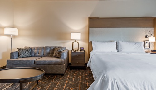 Standard Room, 1 King Bed with Sofa bed