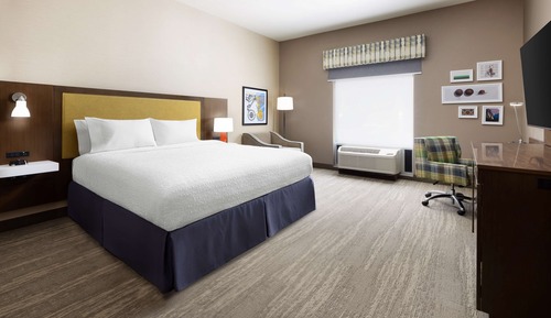 Room, 1 King Bed, Accessible (Roll-In Shower)
