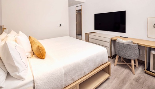 Premier Studio, 1 King Bed, Accessible (Roll-In Shower)
