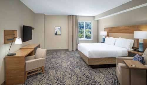 Studio Suite, 1 King Bed, Mountain View
