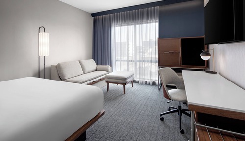 Room, 1 King Bed with Sofa bed