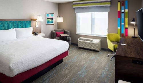 Room, 1 King Bed, Refrigerator