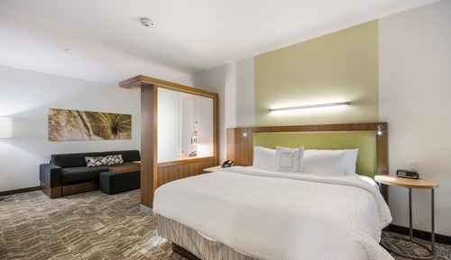 Suite, 1 King Bed with Sofa bed, Non Smoking