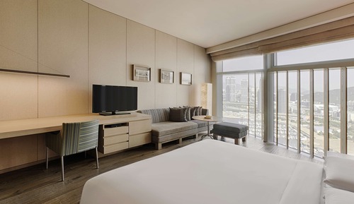 Room, 1 King Bed