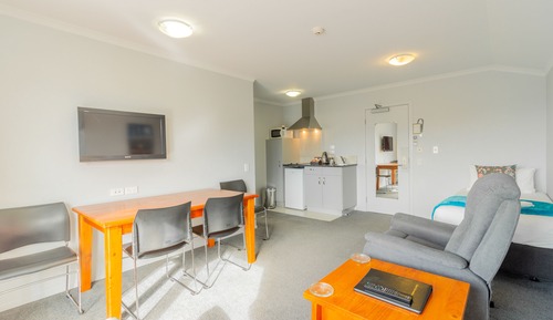 One Bedroom SPA Apt. for up to 3 Adults
