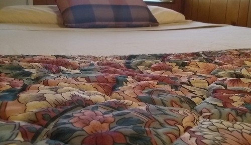 Basic Room, 1 Double Bed