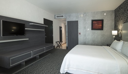 Standard Room, 1 King Bed, Mobility Accessible (Roll-In Shower)
