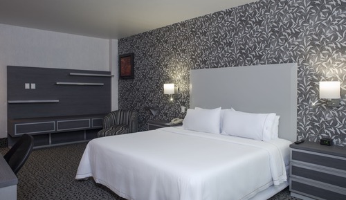 Studio Suite, 1 King Bed with Sofa bed