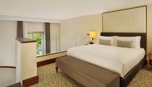 Suite, 1 King Bed (View)