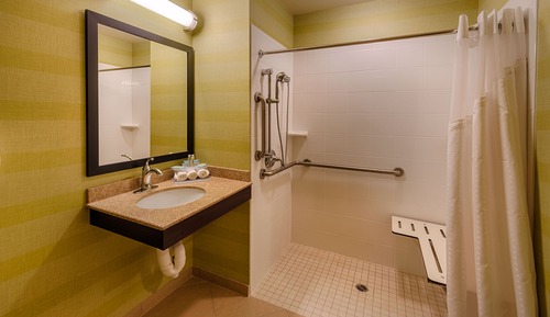 Standard Room, 1 King Bed, Roll-in Shower (Communication, Roll-In Shower)