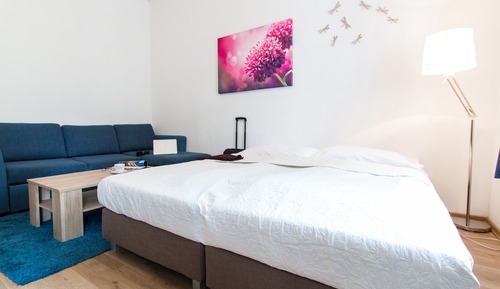 Comfort Apartment, 2 Bedrooms, Kitchen