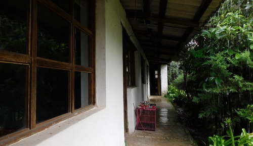 Basic Room