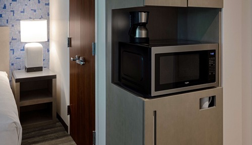 Room, 1 King Bed, Accessible (Roll-In Shower)