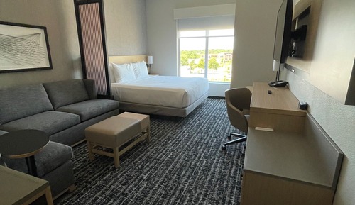 Room, 1 King Bed with Sofa bed