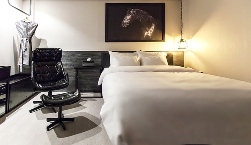 Room (Early check-in/late check-out)