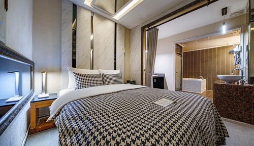 Room (Deluxe Room - Mirror Room (ACE bed/St)