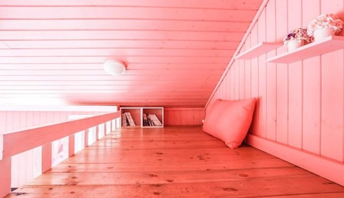 Room (Pine Cone 5)