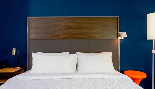 Room, 1 King Bed, Accessible (Roll-In Shower)