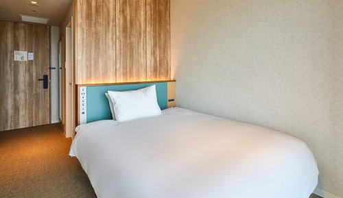 Standard Double Room Single Use, Non Smoking