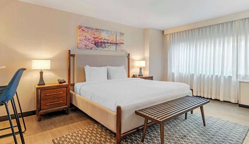 Standard Room, 1 King Bed, Non Smoking