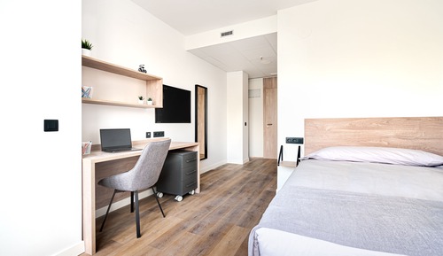 Basic Single Room