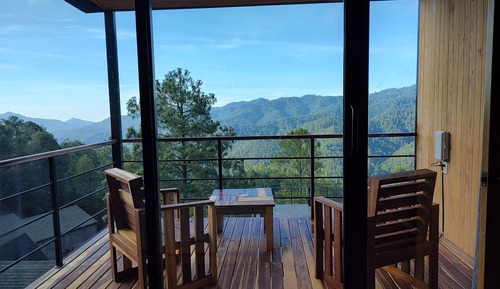 Basic Cabin