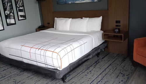 Deluxe Room, 1 King Bed, Accessible, Non Smoking (Mobility/Hearing, Tub w/Grab Bars)