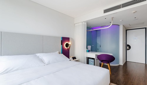 Room, 1 King Bed