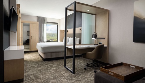 Suite, 1 King Bed, Non Smoking (Mobility Accessible, Roll-In Shower)