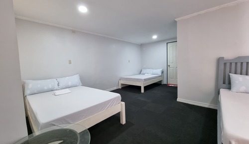 Premium Suite