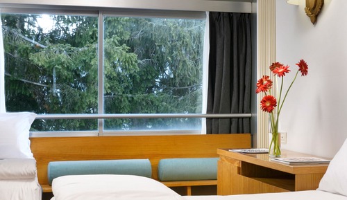 Classic Double or Twin Room