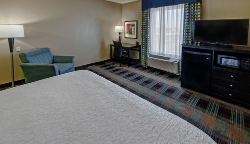 Room, 1 King Bed
