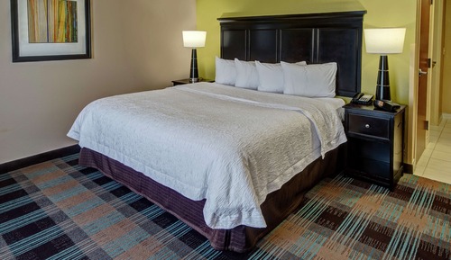 Room, 1 King Bed, Accessible (Hearing)